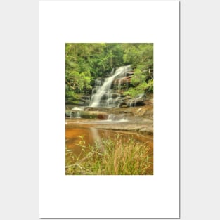 Somersby Falls .. with grass Posters and Art